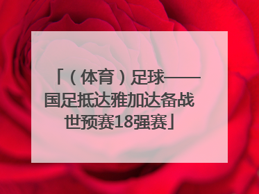 （体育）足球——国足抵达雅加达备战世预赛18强赛