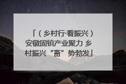 （乡村行·看振兴）安徽固镇产业聚力 乡村振兴“畜”势勃发