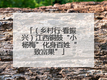（乡村行·看振兴）江西铜鼓“小杨梅”化身百姓“致富果”
