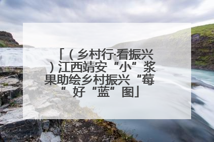 （乡村行·看振兴）江西靖安“小”浆果助绘乡村振兴“莓”好“蓝”图