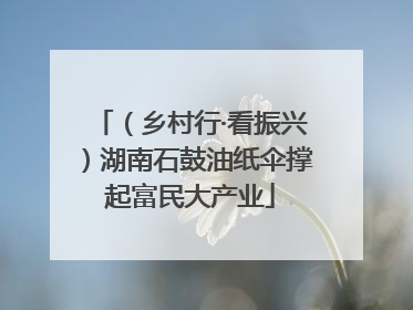 （乡村行·看振兴）湖南石鼓油纸伞撑起富民大产业
