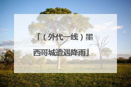 （外代一线）墨西哥城遭遇降雨
