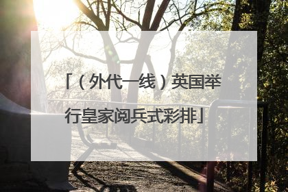 （外代一线）英国举行皇家阅兵式彩排