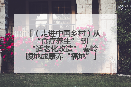 （走进中国乡村）从 “食疗养生” 到 “适老化改造” 秦岭腹地成康养“福地”