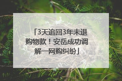 3天追回3年未退购物款！安岳成功调解一网购纠纷