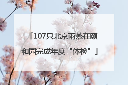 107只北京雨燕在颐和园完成年度“体检”