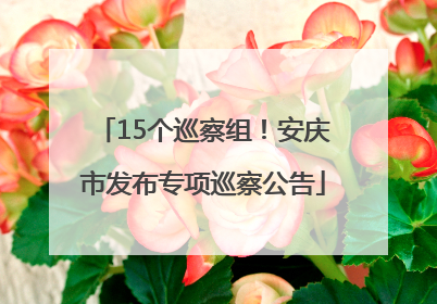 15个巡察组！安庆市发布专项巡察公告