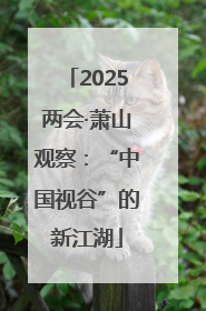 2025两会·萧山观察：“中国视谷”的新江湖