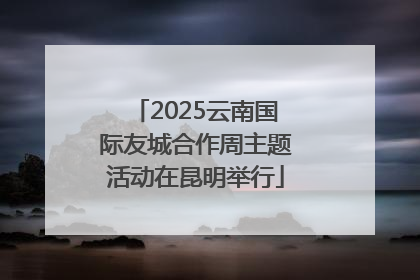 2025云南国际友城合作周主题活动在昆明举行