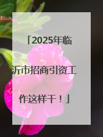 2025年临沂市招商引资工作这样干！