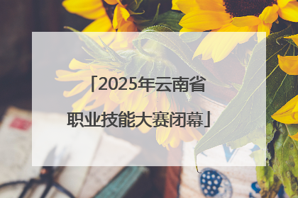 2025年云南省职业技能大赛闭幕