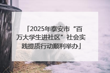 2025年泰安市“百万大学生进社区”社会实践提质行动顺利举办