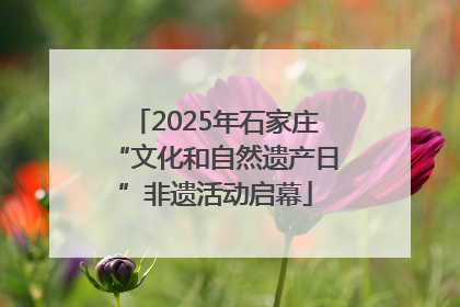 2025年石家庄“文化和自然遗产日”非遗活动启幕