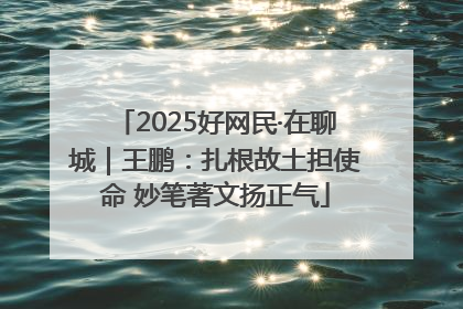 2025好网民·在聊城｜王鹏：扎根故土担使命 妙笔著文扬正气