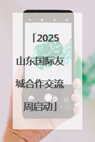 2025山东国际友城合作交流周启动