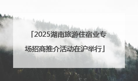 2025湖南旅游住宿业专场招商推介活动在沪举行