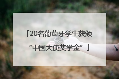 20名葡萄牙学生获颁“中国大使奖学金”