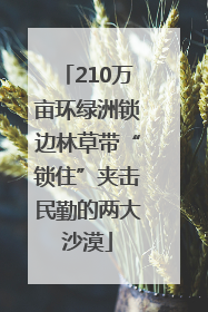 210万亩环绿洲锁边林草带“锁住”夹击民勤的两大沙漠