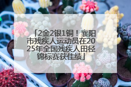 2金2银1铜！襄阳市残疾人运动员在2025年全国残疾人田径锦标赛获佳绩