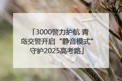 3000警力护航 青岛交警开启“静音模式”守护2025高考路