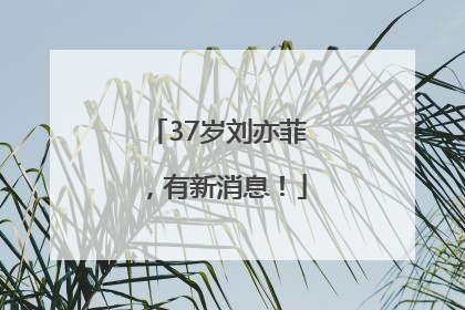 37岁刘亦菲，有新消息！