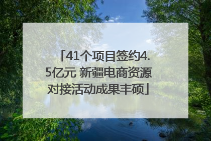 41个项目签约4.5亿元 新疆电商资源对接活动成果丰硕
