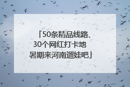 50条精品线路、30个网红打卡地 暑期来河南遛娃吧