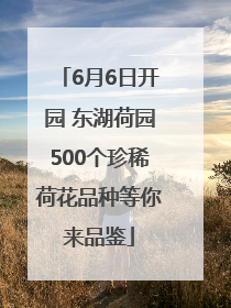 6月6日开园 东湖荷园500个珍稀荷花品种等你来品鉴