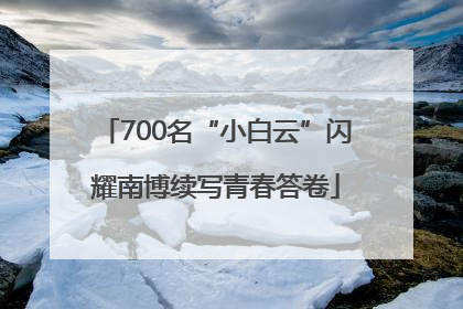 700名“小白云”闪耀南博续写青春答卷