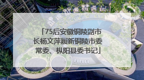 75后安徽铜陵副市长杨文萍履新铜陵市委常委、枞阳县委书记
