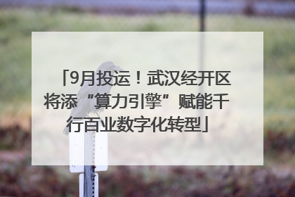 9月投运！武汉经开区将添“算力引擎”赋能千行百业数字化转型