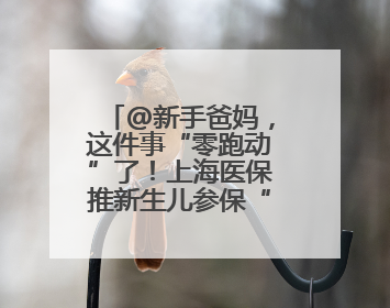 @新手爸妈，这件事“零跑动”了！上海医保推新生儿参保“免申办”服务