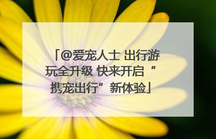 @爱宠人士 出行游玩全升级 快来开启“携宠出行”新体验