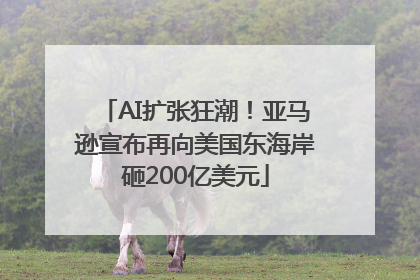 AI扩张狂潮！亚马逊宣布再向美国东海岸砸200亿美元