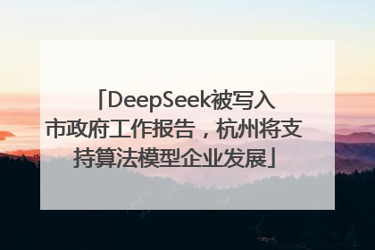 DeepSeek被写入市政府工作报告，杭州将支持算法模型企业发展