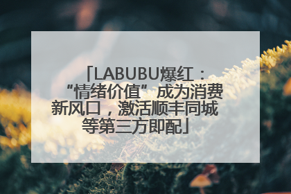 LABUBU爆红：“情绪价值”成为消费新风口，激活顺丰同城等第三方即配