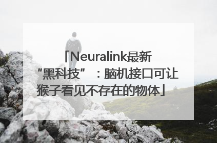 Neuralink最新“黑科技”：脑机接口可让猴子看见不存在的物体