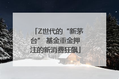 Z世代的“新茅台” 基金重金押注的新消费狂飙